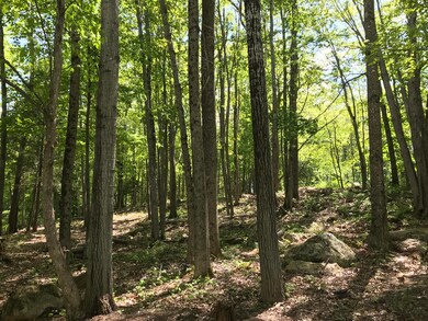 Lot 7 Tilbury Park, Gardiner, ME 04345 - photo 2