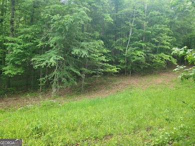 0 Fincherville Rd unit TRACT 3 10435292, Jackson, GA 30233 - photo 5