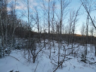 DJI_0066