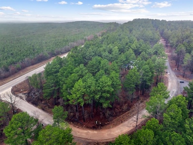 74 Triton Trail, Broken Bow, OK 74728 - photo 3