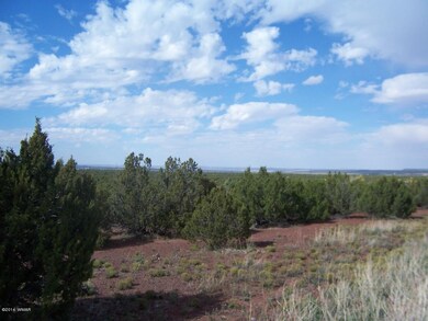 8651 Sutter Ln, Show Low, AZ 85901 - photo 3