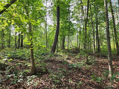 Lot 3 Walnut Shade Rd, Louisa, VA 23093 - photo 7