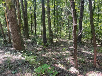 Lot B8 Cross Mountain Rd, Luray, VA 22835 - photo 6