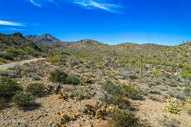 Natural Desert