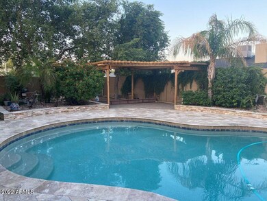 Pool and pergola