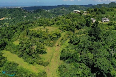 001 Carr 942, Gurabo, PR 00778 - photo 2