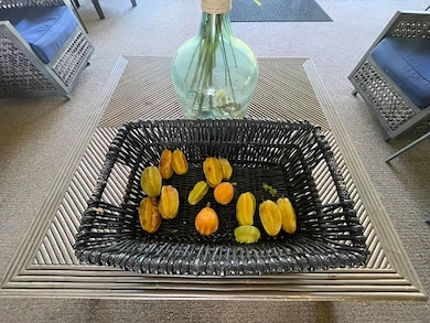 4435 Lower Honoapiilani Rd unit 225, Lahaina, HI 96761 - photo 6