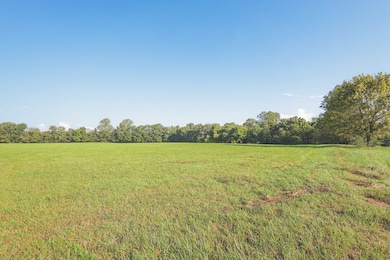 1784 Odgen Rd, Dayton, TN 37321 - photo 5