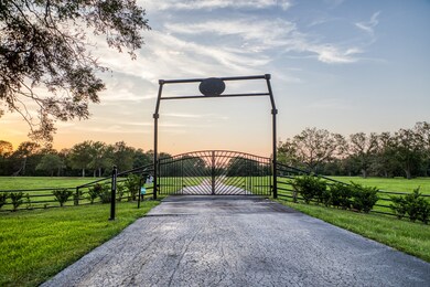 19220 Fm 442 Rd, Needville, TX 77461 - photo 6