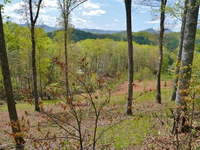 374 Loverly Way, Franklin, NC 28734 - photo 6