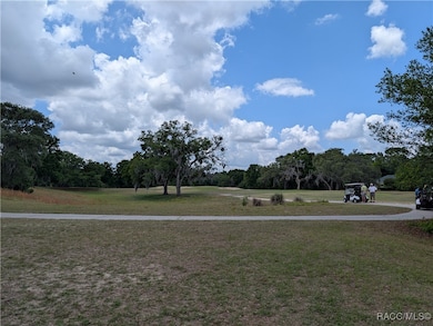 8246 N Golfview Dr, Citrus Springs, FL 34434 - photo 6