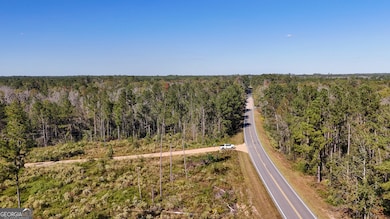 0 Stewart Cemetery Rd, Alma, GA 31510 - photo 2