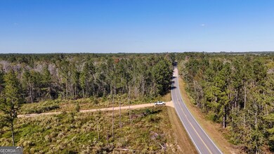 0 Stewart Cemetery Rd unit 10650398, Alma, GA 31510 - photo 2