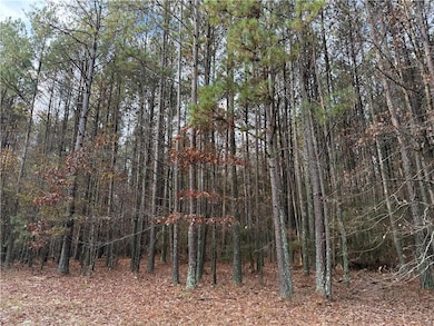 0 Branson Crossing Rd, Kingston, GA 30145 - photo 3