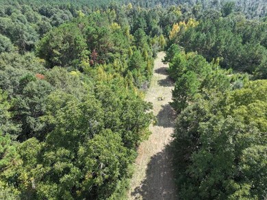 La Hwy 60 unit LotWP001, Franklinton, LA 70438 - photo 7