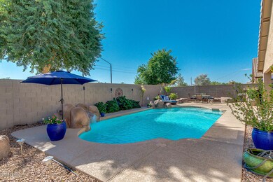 Entertainers Backyard