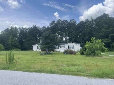 2040 Goodman Rd, Lynchburg, SC 29080 - photo 6