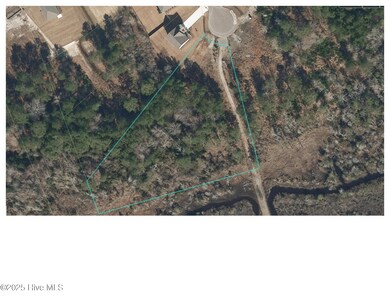 606 Needlerush Rd, Sneads Ferry, NC 28460 - photo 4