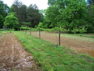 801 Back Creek Rd, Asheboro, NC 27205 - photo 3