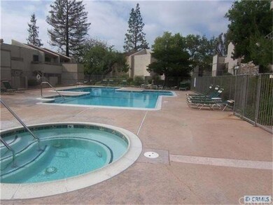 Beautiful pool and spa