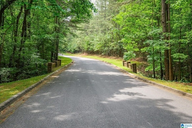 00 Highway 26, Alabaster, AL 35007 - photo 3