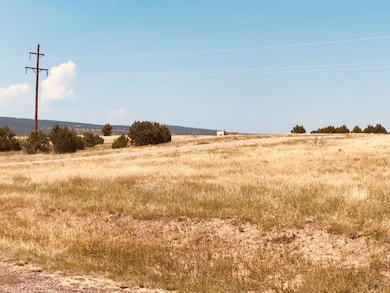 TBD Hart Ranch Rd, Beulah, CO 81023 - photo 2