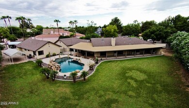 Backyard1