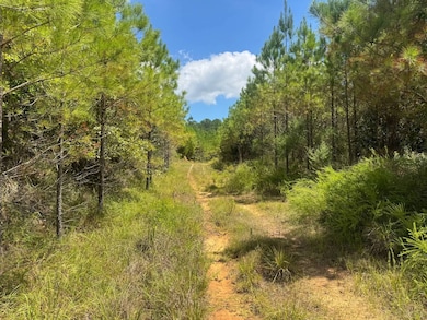 00 Mississippi 7, Grenada, MS 38901 - photo 6