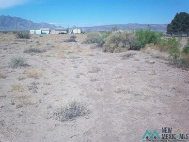 xx Sundown Rd SE, Deming, NM 88030 - photo 6