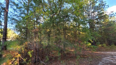 0 Deerwood & Brentwood unit 139029, Fitzgerald, GA 31750 - photo 5