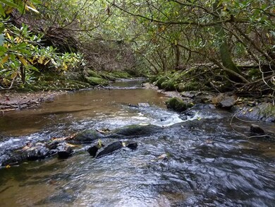 Mayberry Creek