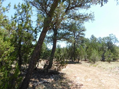 1919 Elk Rd2 (4)