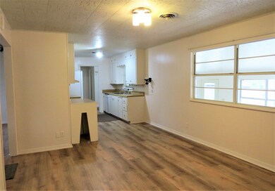 610 W Travis St, Fredericksburg, TX 78624 - photo 4