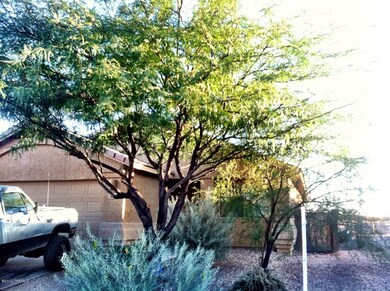 Photo7
