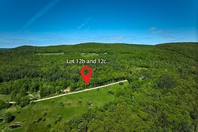 12 Maxwell Rd, Charlemont, MA 01339 - photo 6