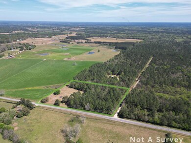 1116 Hilt Fornea Rd, Poplarville, MS 39470 - photo 2
