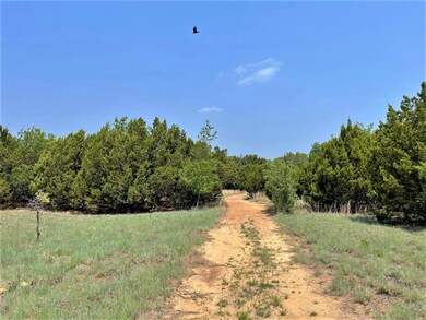 1965 Mcclendon Rd, Weatherford, TX 76088 - photo 6