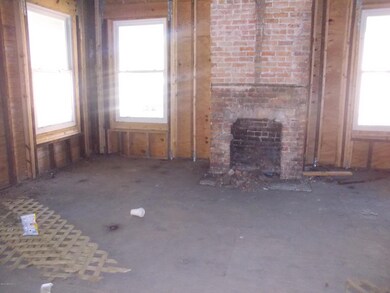 2nd Downstairs Fireplace