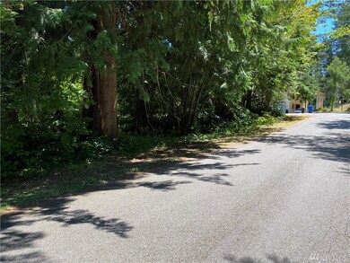 18528 Surcingle Ct SE, Yelm, WA 98597 - photo 2