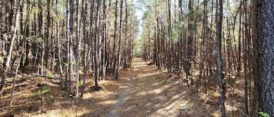 0 Shepherds Rd, Partlow, VA 22534 - photo 2