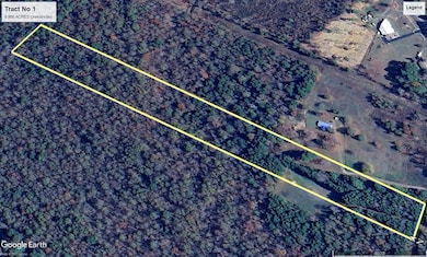 Tract No 1 County Road 3150, Deberry, TX 75639 - photo 7