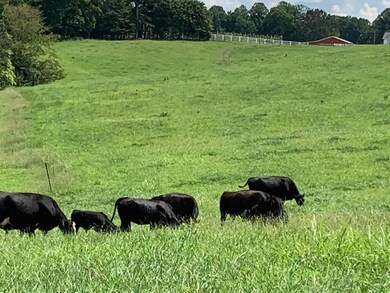 2794 Highway 1058, Jamestown, KY 42629 - photo 7