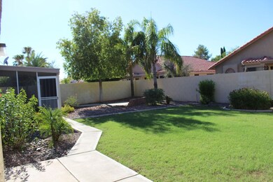 Backyard view 2