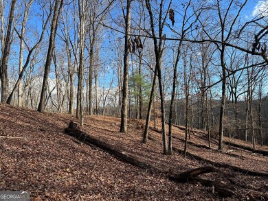 200 Mincey Acres Dr, Murrayville, GA 30564 - photo 2