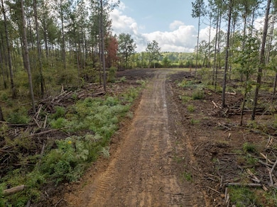 0 Pisgah Rd unit 4, Brandon, MS 39047 - photo 4