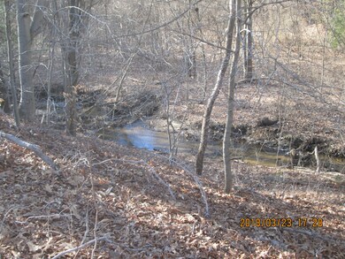 IMG_0406 (1)