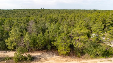 7 8 9 10 Tarpon Lane, DeFuniak Springs