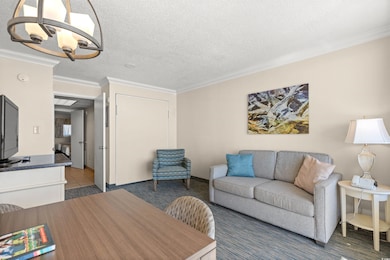 Living area featuring a textured ceiling, ornament