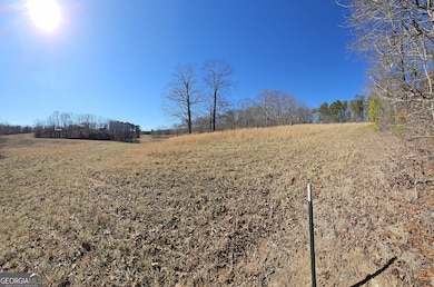 LOT 1 Snote Jones Rd, Dallas, GA 30132 - photo 5