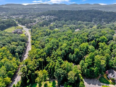 2520 Sweeney Hollow Rd, Center Point, AL 35215 - photo 5